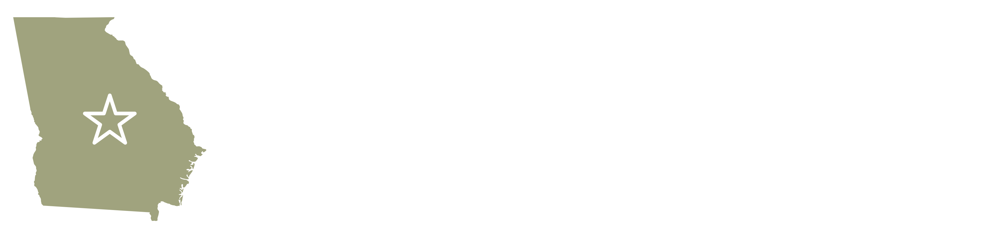 Middle Georgia AI Network